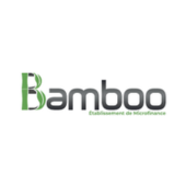 BAMBOO